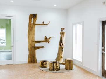 Forest Family Dentistry Office 3